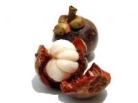 Mangosteen