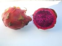 Pitahaya