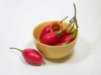 Tamarillo proaspat
