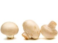 Ciuperci champignon, crude Ciuperci champignon, crude