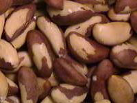 Nuci braziliene